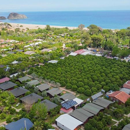 Cirali Zakkum Bungalow Exteriör bild