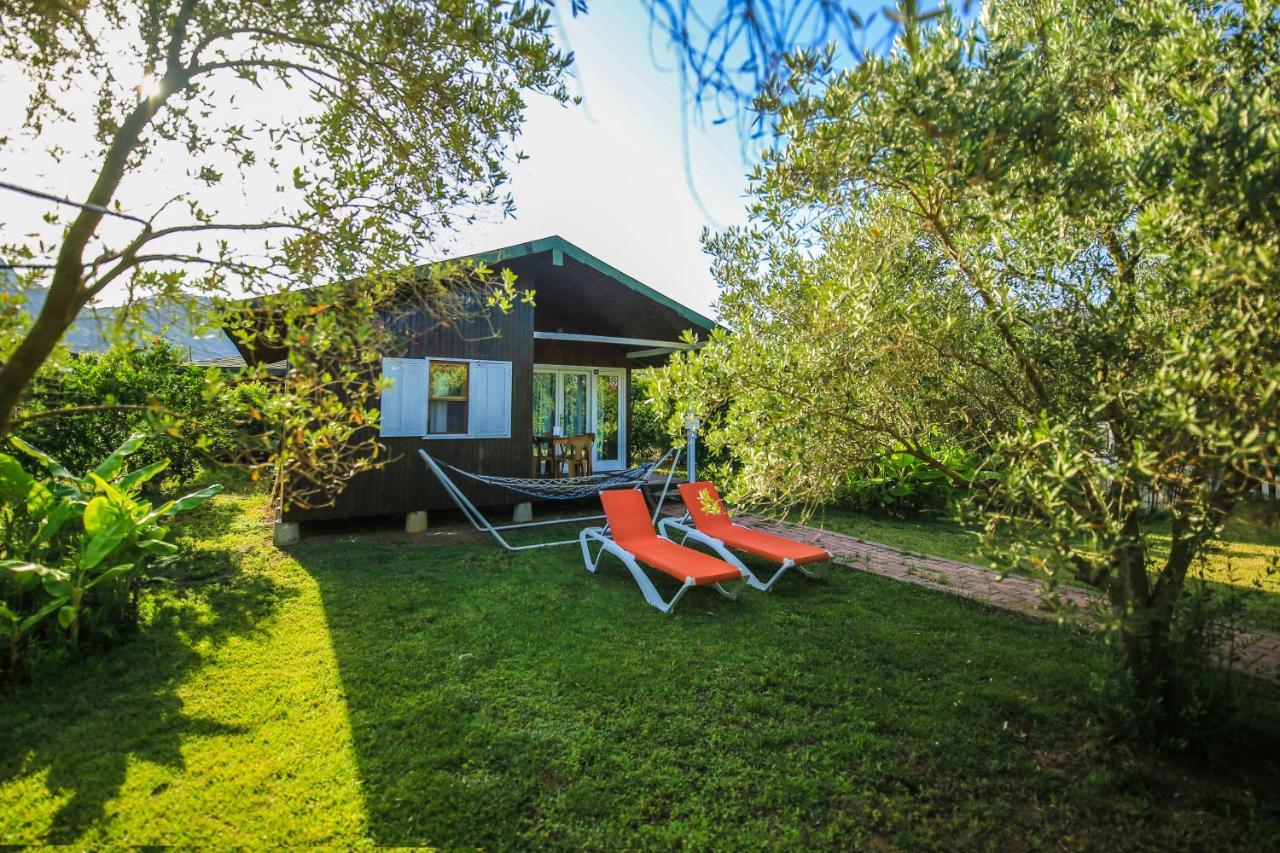 Cirali Zakkum Bungalow Exteriör bild