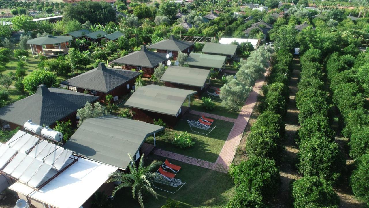 Cirali Zakkum Bungalow Exteriör bild