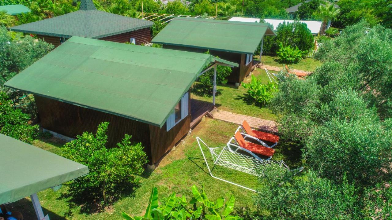Cirali Zakkum Bungalow Exteriör bild