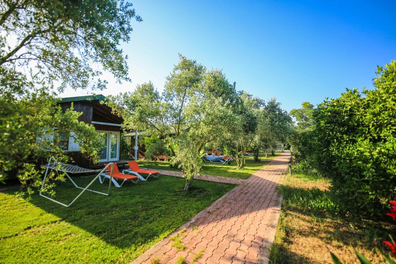 Cirali Zakkum Bungalow Exteriör bild