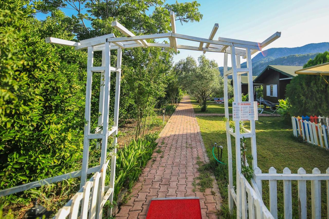 Cirali Zakkum Bungalow Exteriör bild